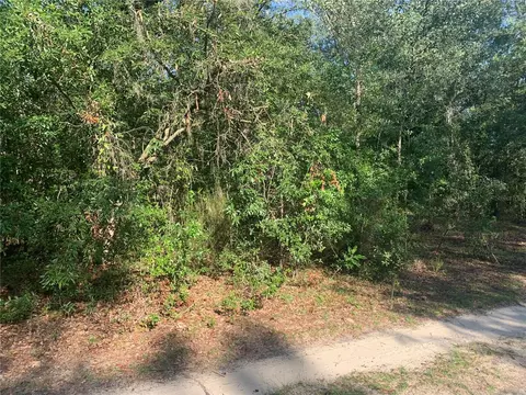 Tbd NE 118th Lane, Bronson, FL 32621