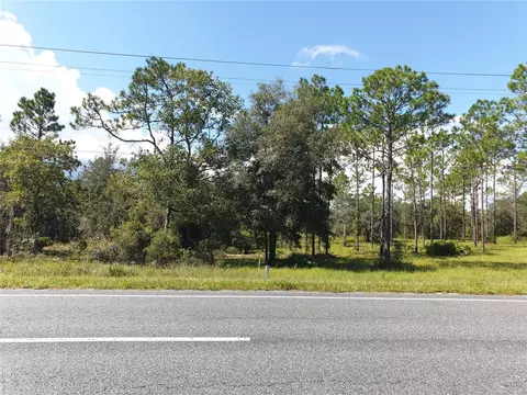 Tbd NE 65th Lane, Bronson, FL 32621