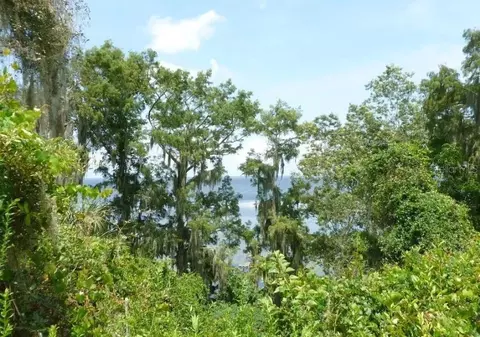8205 NE 310th Ave, Fort Mc Coy, FL 32134