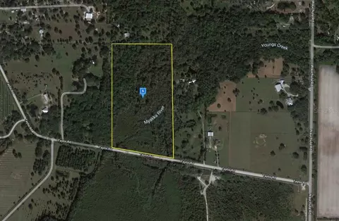 39471 Taylor Rd, Myakka City, FL 34251