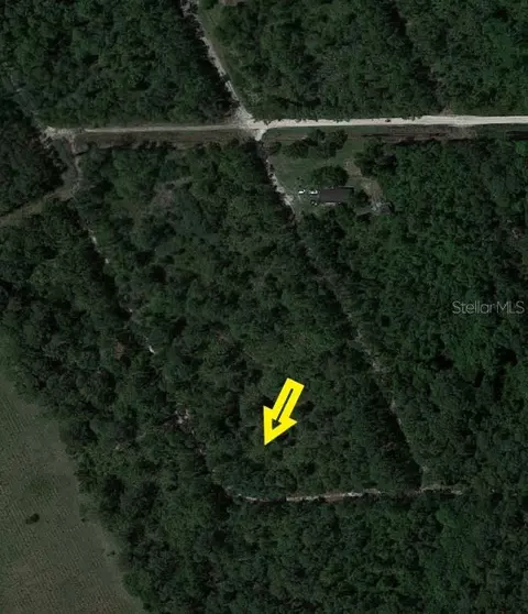 No Address Avail, Satsuma, FL 32189