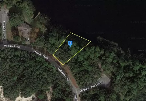 477 Malauka Loop, Ocklawaha, FL 32179