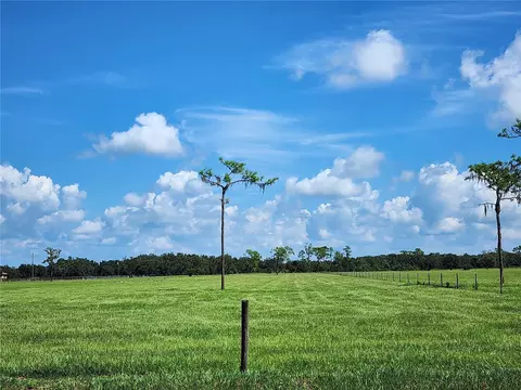 Clay Gully Road, Myakka City, FL 34251