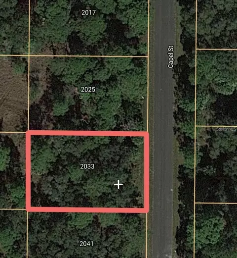 2033 Capel St, Port Charlotte, FL 33953