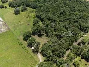 15016 Rainshadow St, Lithia, FL 33547