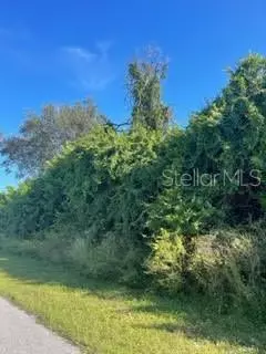 Norbert Avenue, North Port, FL 34287