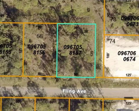Fling Avenue, North Port, FL 34291