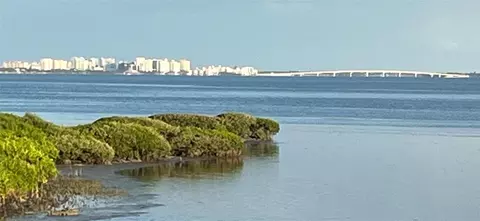 6430 Sun Eagle Ln #204, Bradenton, FL 34210