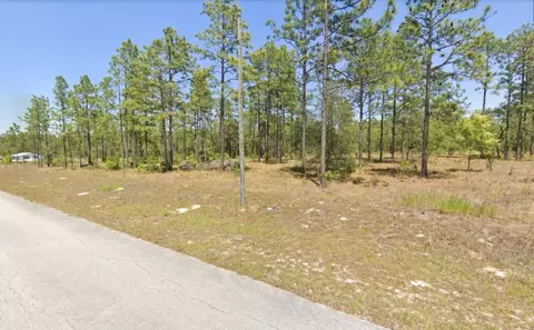 NW Mandrake Drive, Dunnellon, FL 34431