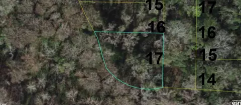 12174 SW 30th Dr, Webster, FL 33597