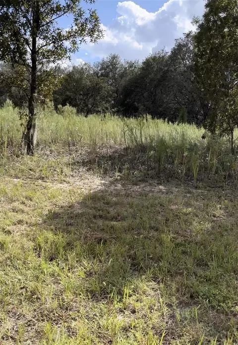 1656 W Hampshire Blvd, Citrus Springs, FL 34434