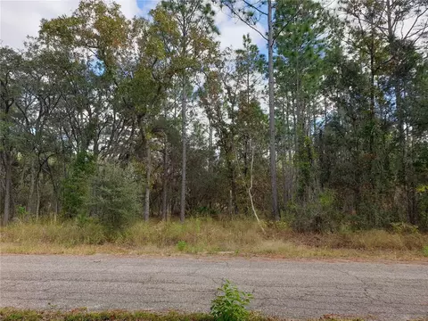 SE 124th Court, Dunnellon, FL 34431