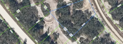 270 Sunway Dr, Lake Placid, FL 33852