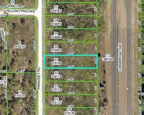 18316 Parakeet Rd, Weeki Wachee, FL 34614