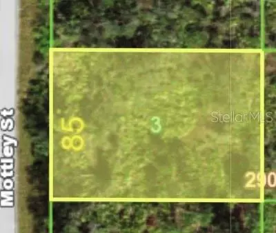 1468 Mottley St, Port Charlotte, FL 33953