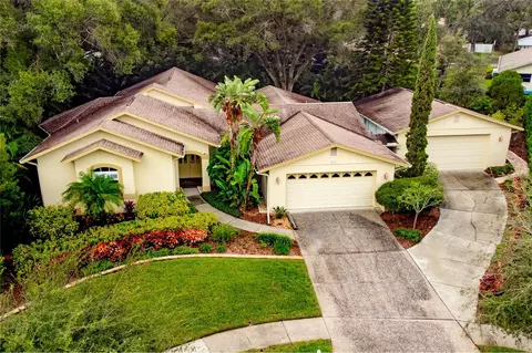 50 Laurel Oak Ct, Palm Harbor, FL 34683