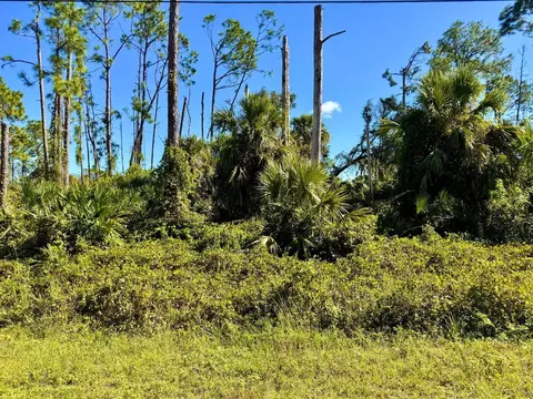 Lawn Avenue, North Port, FL 34288