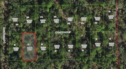 9848 W Plum Rose Ct, Crystal River, FL 34429
