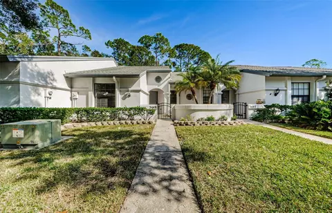 3449 Killdeer Pl, Palm Harbor, FL 34685