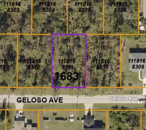 Geloso Avenue, North Port, FL 34288