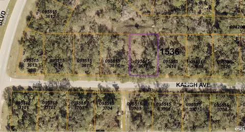 0955153617 Kalish Ave, North Port, FL 34286