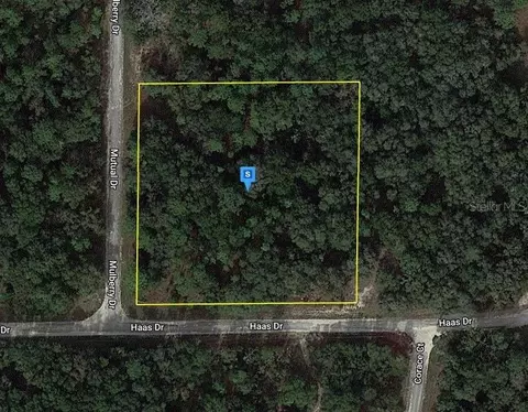 7308 Mulberry Dr, Webster, FL 33597