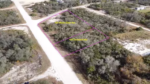 435 Moon Glow Ave, Lake Placid, FL 33852