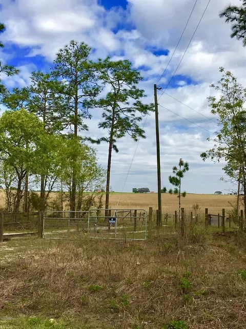 NW Falcon Avenue, Dunnellon, FL 34431