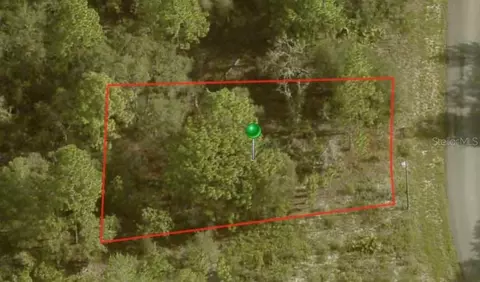 6692 N Buckskin Dr, Citrus Springs, FL 34434