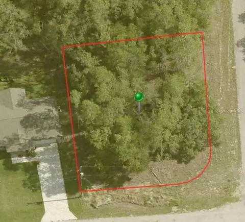 161 E Runic Ln, Citrus Springs, FL 34434