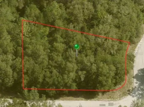 10098 N Halsey Way, Citrus Springs, FL 34434