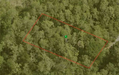 10170 N Abby Dr, Citrus Springs, FL 34434