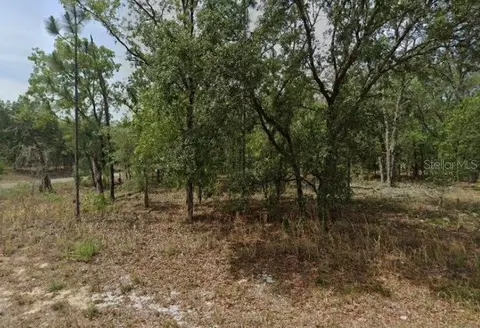 1592 W Swanson Dr, Citrus Springs, FL 34434