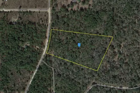 1148 NE Blue Ridge Landing Ave, Lee, FL 32059