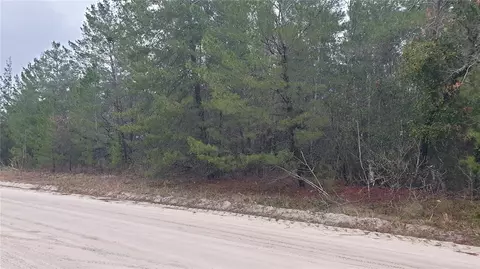 Tbd NE 10th, Williston, FL 32696