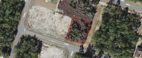 8005-0835 SW 06 Sw 156th Pl, Ocala, FL 34473