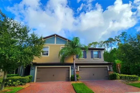 17362 Old Tobacco Rd, Lutz, FL 33558