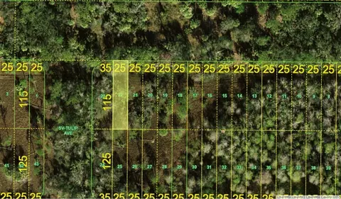Lot 22 Inaccessible Road, Punta Gorda, FL 33982