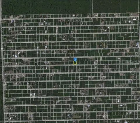 Unnassigned, Fort Mc Coy, FL 32134