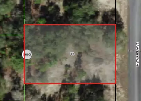 6706 N Tassel Ter, Citrus Springs, FL 34433