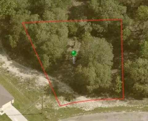 6696 N Roland Dr, Citrus Springs, FL 34433