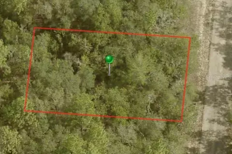 6492 N Baylor Ter, Citrus Springs, FL 34433