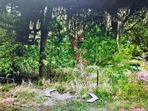 409 W Towles Ave, Palatka, FL 32177