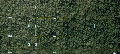 2412-802 0282-000-3 Tbd, Fort Pierce, FL 34949