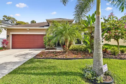 7035 Water Mill St, Palmetto, FL 34221