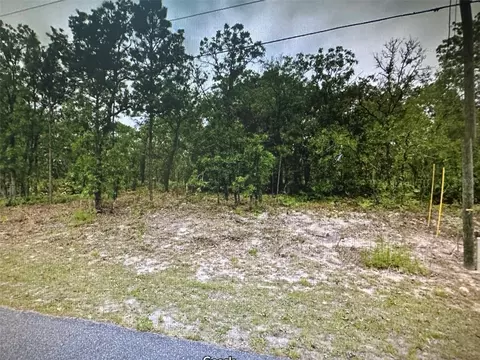 2466 W Swanson Dr, Citrus Springs, FL 34434