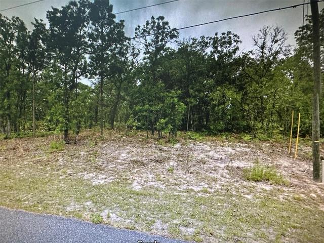 2466 W Swanson Dr, Citrus Springs, FL 34434