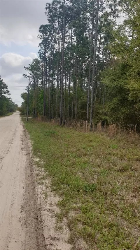 Tbd SE 25 Street, Morriston, FL 32668