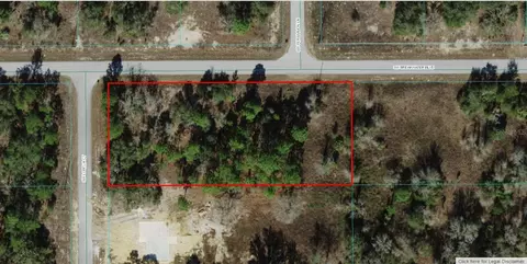 1804-013 SW 042 Sw Lobelia, Dunnellon, FL 34431