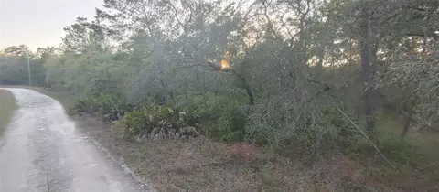 NE 114 Avenue, Fort Mc Coy, FL 32134